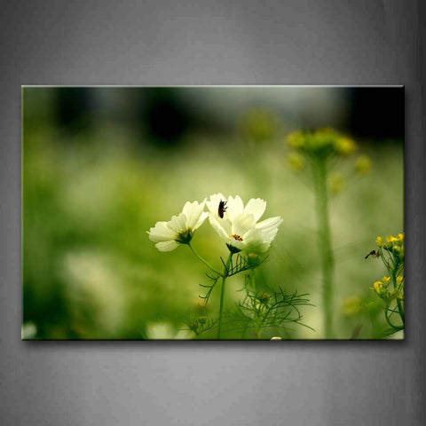 Insects On The Little Flowers In White  Wall Art Painting The Picture Print On Canvas Flower Pictures For Home Decor Decoration Gift 