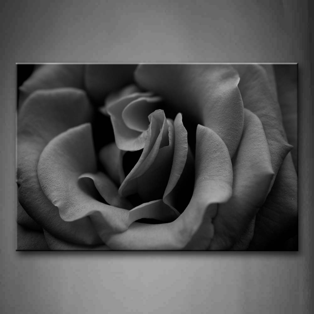 Beautiful Flowers In Black Wall Art Painting Pictures Print On Canvas Flower The Picture For Home Modern Decoration 