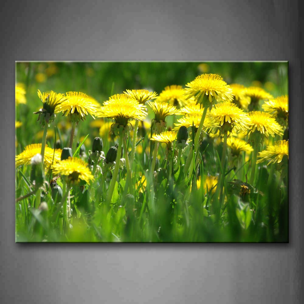Slice Of White Flowers In Bright Yellow Wall Art Painting Pictures Print On Canvas Flower The Picture For Home Modern Decoration 