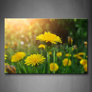 Slice Of Yellow Flowers Bright Sunbeam Wall Art Painting Pictures Print On Canvas Flower The Picture For Home Modern Decoration 