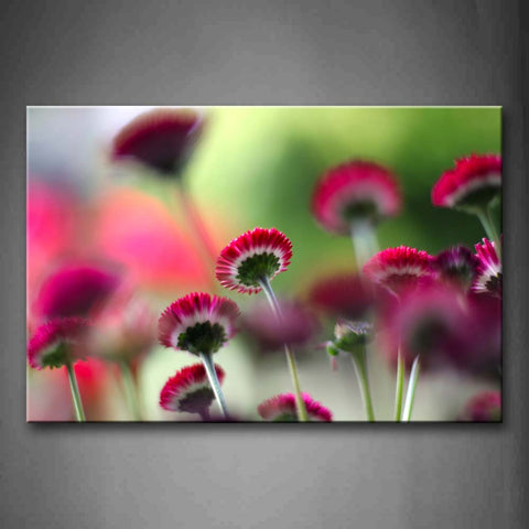 Pink Slice Of Pretty Flowers In Red And White Wall Art Painting The Picture Print On Canvas Flower Pictures For Home Decor Decoration Gift 