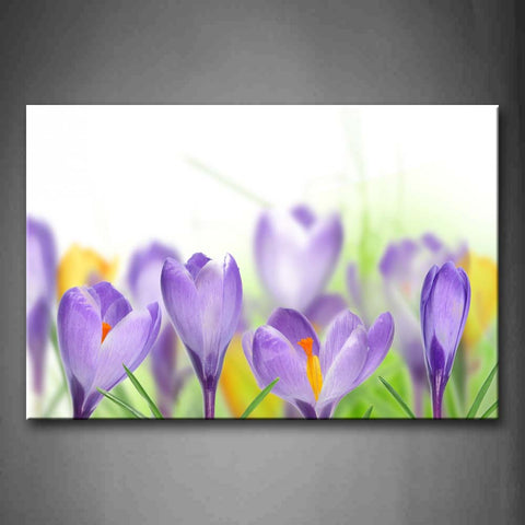 Pink Slice Of Pretty Flowers In Light Purple  Wall Art Painting Pictures Print On Canvas Flower The Picture For Home Modern Decoration 