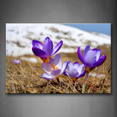Snow Mountain Dry Lawn And Purple Flowers Wall Art Painting The Picture Print On Canvas Flower Pictures For Home Decor Decoration Gift 