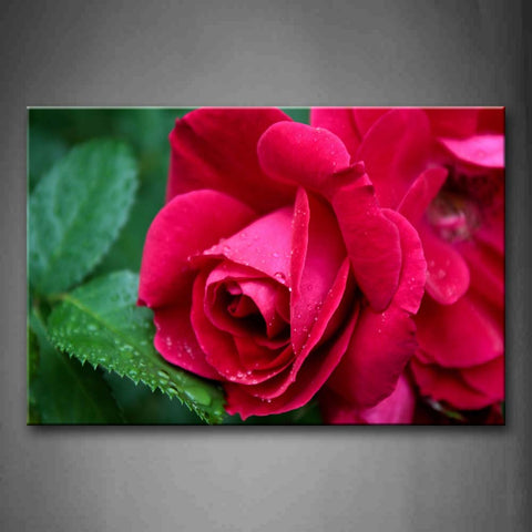 Fresh Leaves With Pretty Roses In Red Wall Art Painting Pictures Print On Canvas Flower The Picture For Home Modern Decoration 