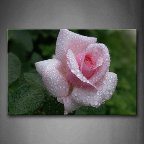 Fresh Leaves And Rose In Pink With Waterdrops Wall Art Painting The Picture Print On Canvas Flower Pictures For Home Decor Decoration Gift 
