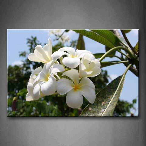 Fresh Leaves And Flowers In Pure White  Wall Art Painting Pictures Print On Canvas Flower The Picture For Home Modern Decoration 