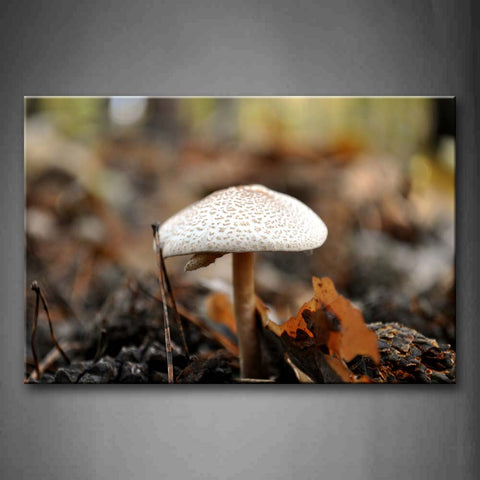 Little Mushroom In White In The Lawn Wall Art Painting The Picture Print On Canvas Botanical Pictures For Home Decor Decoration Gift 