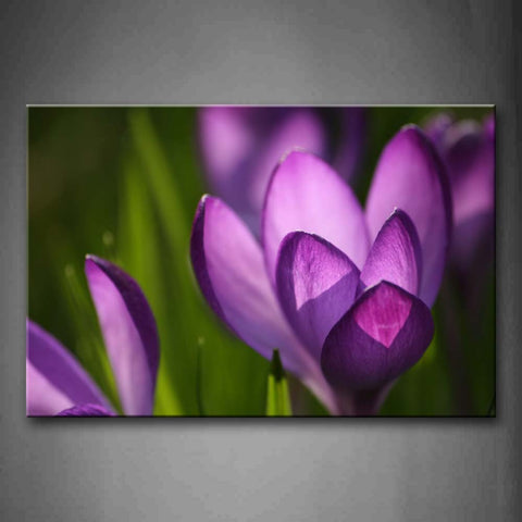 Flowers In Bright Purple In Fresh Lawn Wall Art Painting The Picture Print On Canvas Flower Pictures For Home Decor Decoration Gift 
