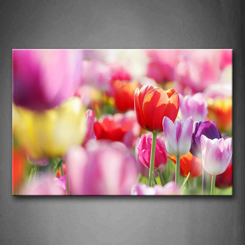 Pink Slice Of Flowers In Different Color Wall Art Painting Pictures Print On Canvas Flower The Picture For Home Modern Decoration 