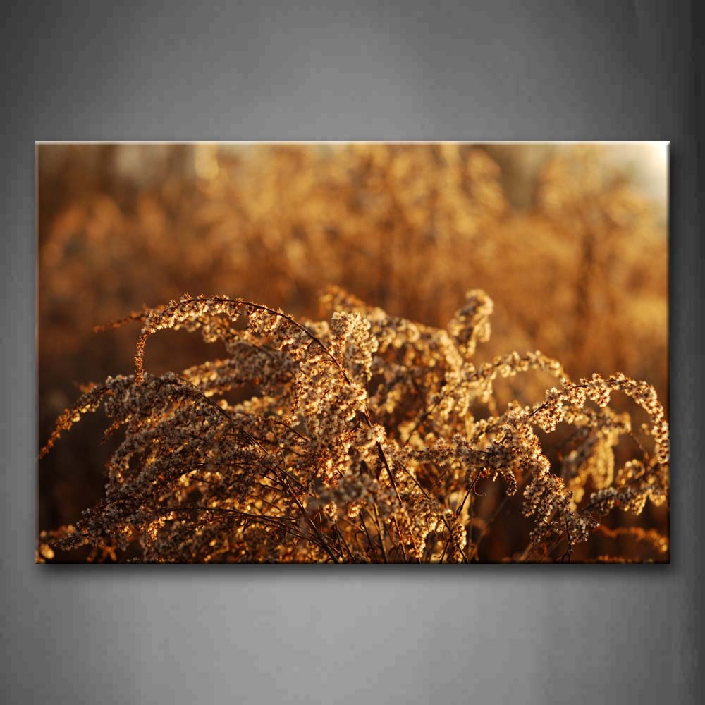 Brown Dry Plants With Bright Sunbeam Wall Art Painting Pictures Print On Canvas Botanical The Picture For Home Modern Decoration 