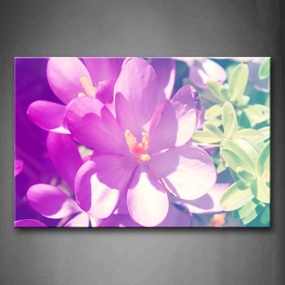 Pink Bright Sunbeam Light Purple Flowers Wall Art Painting Pictures Print On Canvas Flower The Picture For Home Modern Decoration 