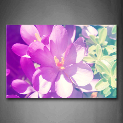 Pink Bright Sunbeam Light Purple Flowers Wall Art Painting Pictures Print On Canvas Flower The Picture For Home Modern Decoration 