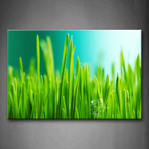 Slice Of Grasses In Light Green In Field Wall Art Painting The Picture Print On Canvas Botanical Pictures For Home Decor Decoration Gift 