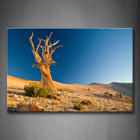 Barely Desert With Thick But Bare Tree Wall Art Painting The Picture Print On Canvas Landscape Pictures For Home Decor Decoration Gift 