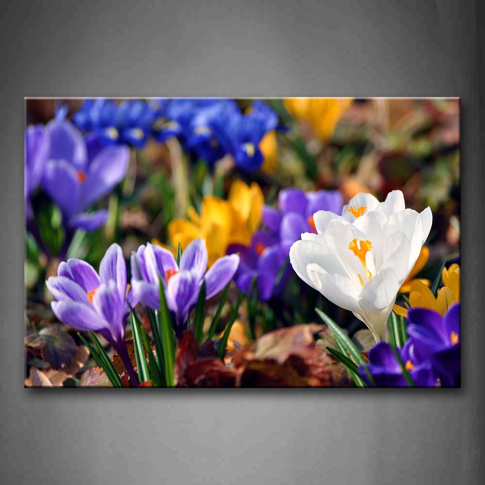 Colorful Flowers With Dry Leaves On Ground Wall Art Painting Pictures Print On Canvas Flower The Picture For Home Modern Decoration 