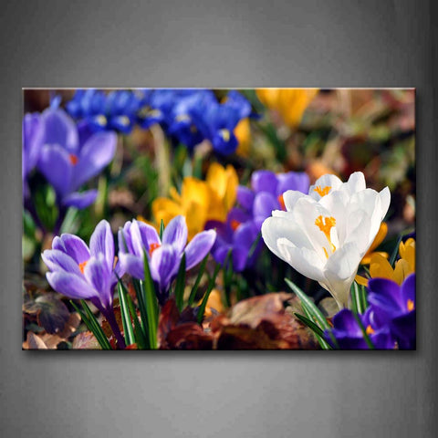 Colorful Flowers With Dry Leaves On Ground Wall Art Painting Pictures Print On Canvas Flower The Picture For Home Modern Decoration 