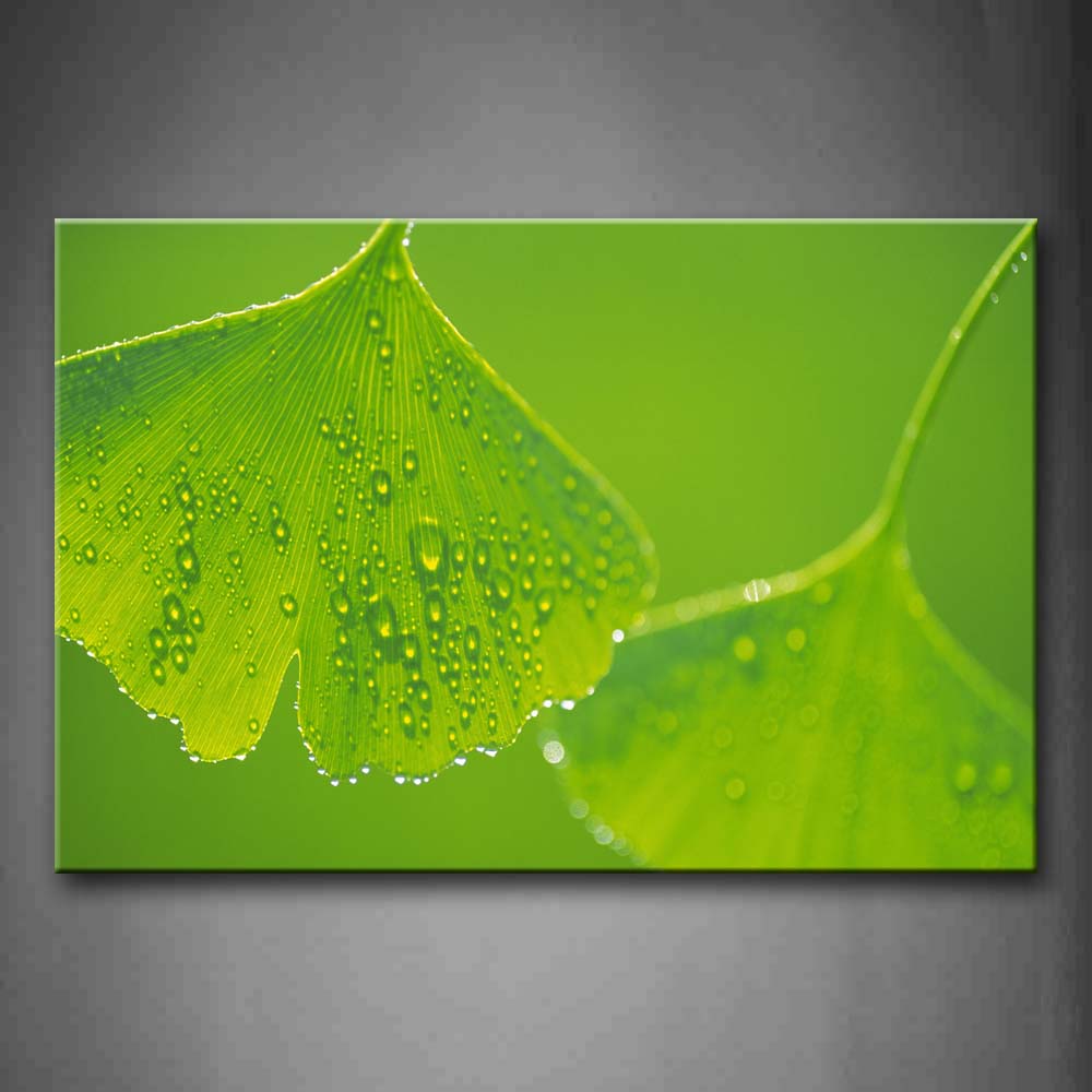 Leaves Like Fans With Plenty Of Waterdrops Wall Art Painting Pictures Print On Canvas Botanical The Picture For Home Modern Decoration 