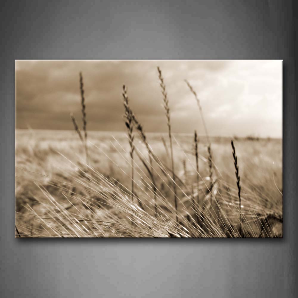 Dry Field With Dry Wheats Beight Sky Wall Art Painting The Picture Print On Canvas Botanical Pictures For Home Decor Decoration Gift 