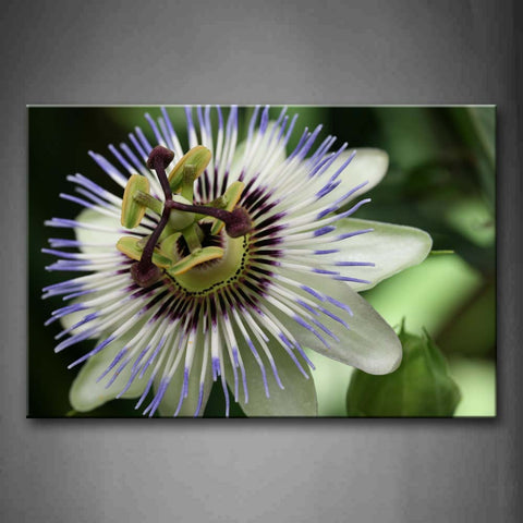 Special Flower With Beautiful Heart Wall Art Painting The Picture Print On Canvas Flower Pictures For Home Decor Decoration Gift 