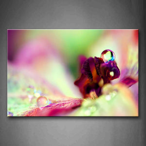Pink Beautiful Flower With Colorful Petals And Waterdrops Wall Art Painting Pictures Print On Canvas Flower The Picture For Home Modern Decoration 