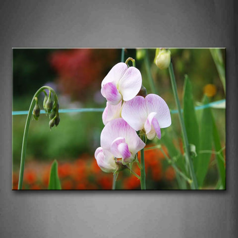 Purple And White Flower On Field  Wall Art Painting Pictures Print On Canvas Flower The Picture For Home Modern Decoration 