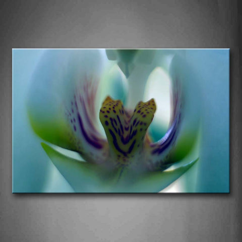 Strange Flower  Wall Art Painting The Picture Print On Canvas Botanical Pictures For Home Decor Decoration Gift 