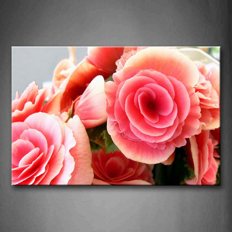 Several Beautiful Pink Flower Wall Art Painting Pictures Print On Canvas Flower The Picture For Home Modern Decoration 
