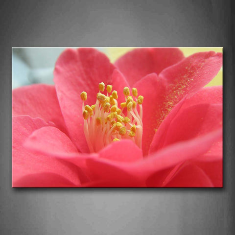 Pink Flower With Yellow Anther Wall Art Painting The Picture Print On Canvas Flower Pictures For Home Decor Decoration Gift 