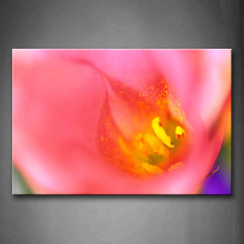 Fuzzy Pink Flower With Yellow Anther Wall Art Painting Pictures Print On Canvas Flower The Picture For Home Modern Decoration 