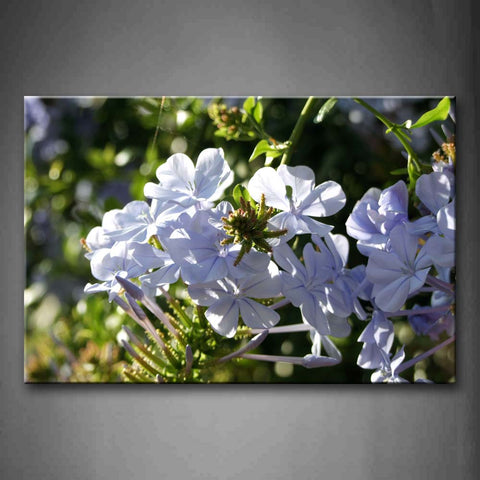 Many White Flowers On Branch Wall Art Painting The Picture Print On Canvas Flower Pictures For Home Decor Decoration Gift 