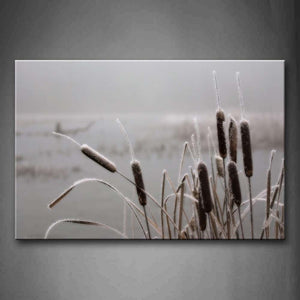 Plant On Lakeside Wall Art Painting Pictures Print On Canvas Botanical The Picture For Home Modern Decoration 