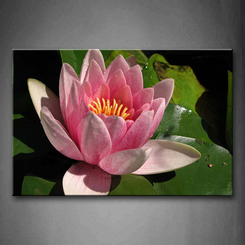 Pink Lotus On Green Lotus Leafs Wall Art Painting Pictures Print On Canvas Flower The Picture For Home Modern Decoration 