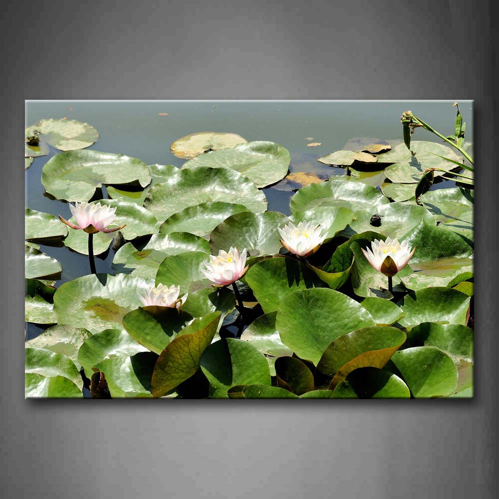 Lotus And Leafs On Water Wall Art Painting The Picture Print On Canvas Botanical Pictures For Home Decor Decoration Gift 