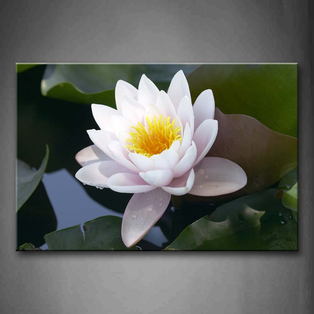 White Lotus With Golden Anther On Water Wall Art Painting The Picture Print On Canvas Flower Pictures For Home Decor Decoration Gift 