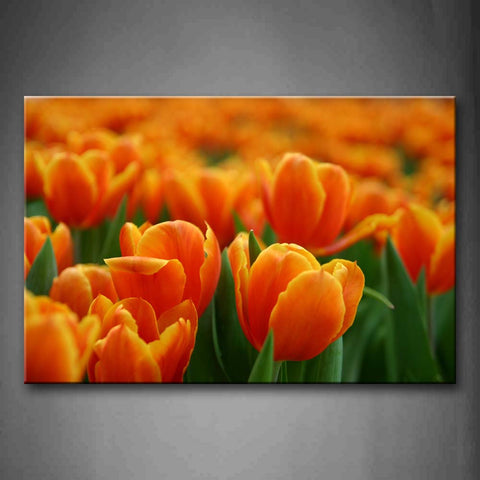 A Group Of Thick Orange Flower Wall Art Painting Pictures Print On Canvas Flower The Picture For Home Modern Decoration 