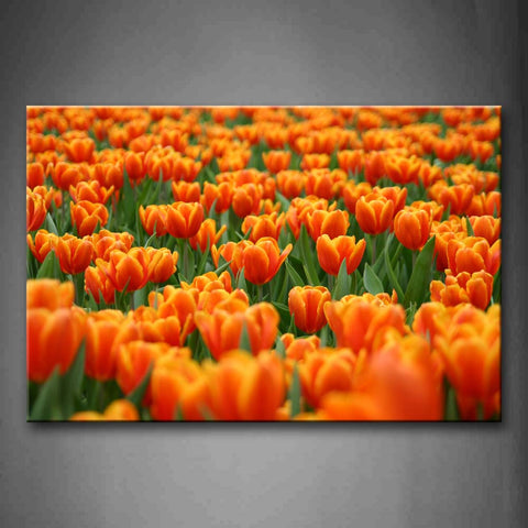 A Group Of Thick Orange Flower Beautiful Wall Art Painting The Picture Print On Canvas Flower Pictures For Home Decor Decoration Gift 