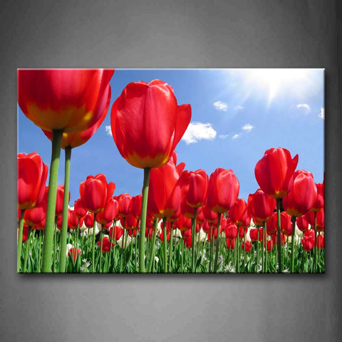 A Group Of Thick Red Flower Wall Art Painting Pictures Print On Canvas Flower The Picture For Home Modern Decoration 