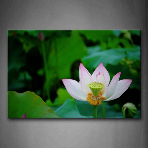Deciduous Lotus And Green Leafs Portrait Wall Art Painting The Picture Print On Canvas Flower Pictures For Home Decor Decoration Gift 