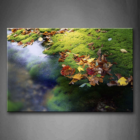 Fallen Leafs On Green Grass Near Clear Water Wall Art Painting Pictures Print On Canvas Botanical The Picture For Home Modern Decoration 