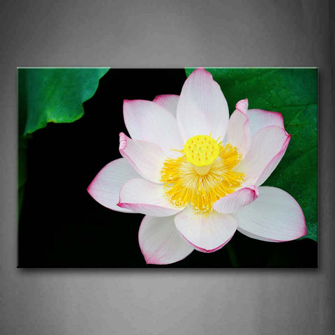 White And Pink Lotus With Leafs On Water Wall Art Painting Pictures Print On Canvas Flower The Picture For Home Modern Decoration 