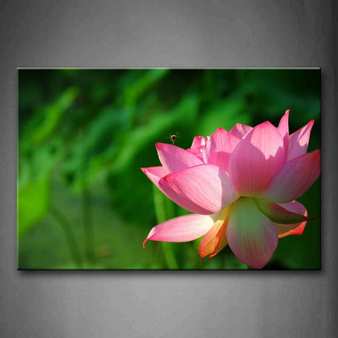 Bee Fly On Pink Lotus Wall Art Painting The Picture Print On Canvas Flower Pictures For Home Decor Decoration Gift 