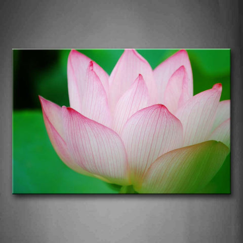 Pink Lotus Portrait Wall Art Painting Pictures Print On Canvas Flower The Picture For Home Modern Decoration 