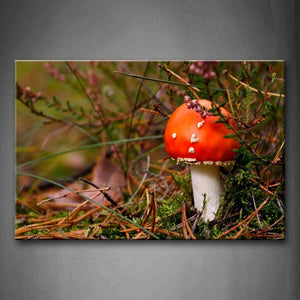 Orange Mushroom Grow In Grass Wall Art Painting Pictures Print On Canvas Landscape The Picture For Home Modern Decoration 