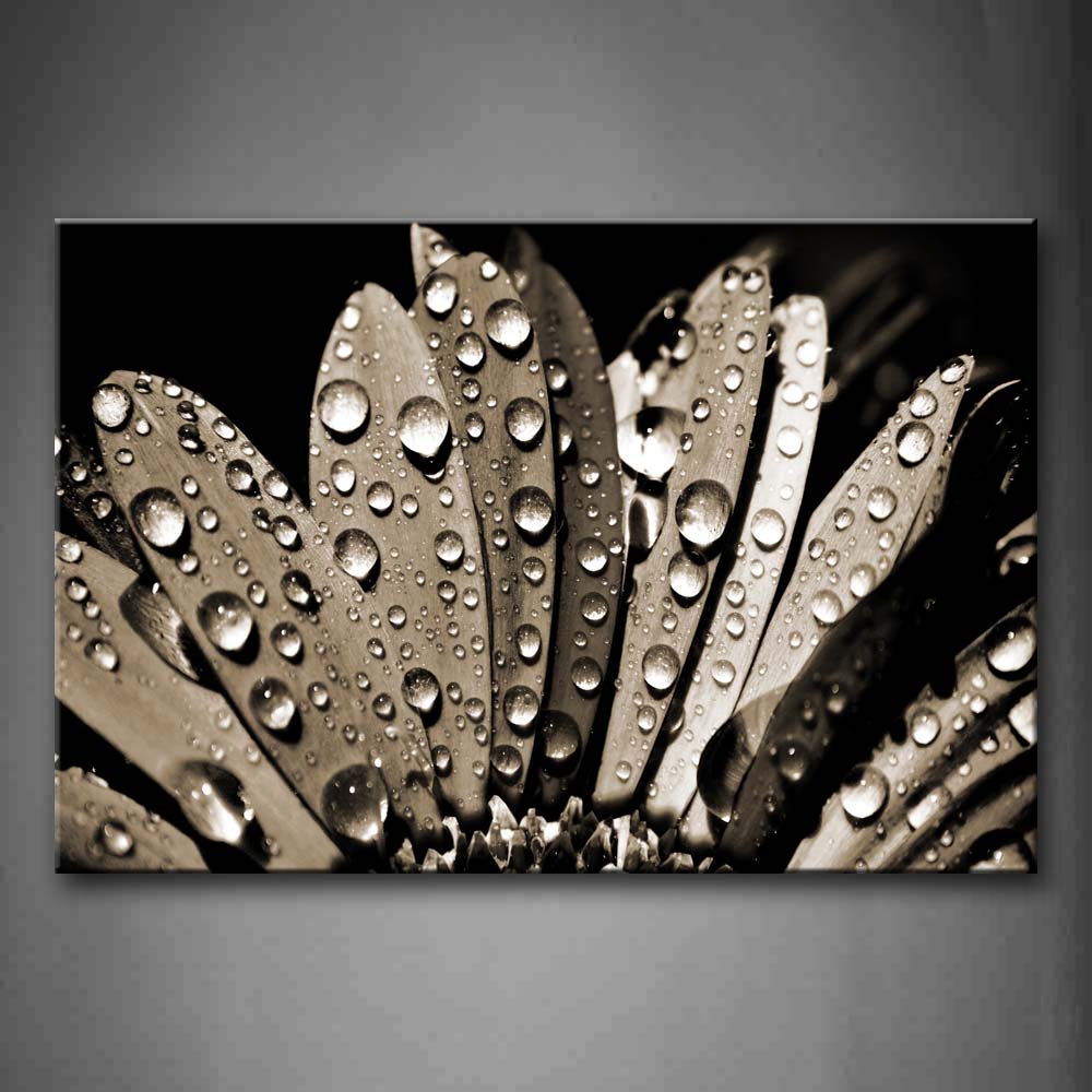 Drop Of Water On Petals Wall Art Painting The Picture Print On Canvas Flower Pictures For Home Decor Decoration Gift 