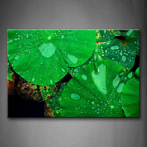 Water Drops On Green Lotus Leafs Wall Art Painting Pictures Print On Canvas Botanical The Picture For Home Modern Decoration 