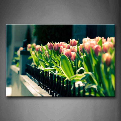 Pink Flowers Grow In Yard Near Fence Wall Art Painting The Picture Print On Canvas Flower Pictures For Home Decor Decoration Gift 