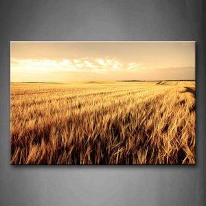 Brown Wide Yellow Field  Wall Art Painting The Picture Print On Canvas Botanical Pictures For Home Decor Decoration Gift 