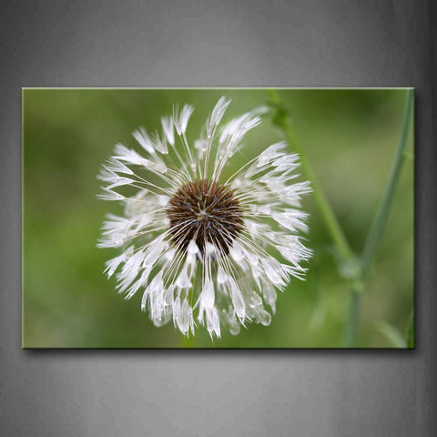 Dandelion Like Feather Portrait Wall Art Painting Pictures Print On Canvas Flower The Picture For Home Modern Decoration 