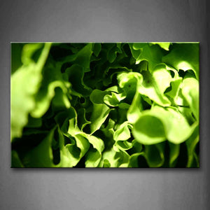 Green Fresh Vegetables Wall Art Painting Pictures Print On Canvas Botanical The Picture For Home Modern Decoration 