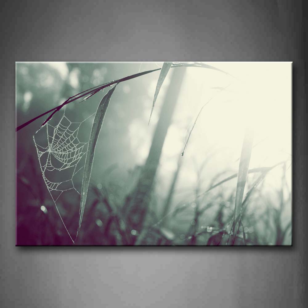 Spider Web On Grass In Forest  Wall Art Painting Pictures Print On Canvas Botanical The Picture For Home Modern Decoration 